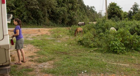 Camping with the horses