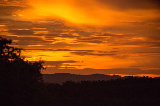 We were treated to a glorious sunset for our drive into town