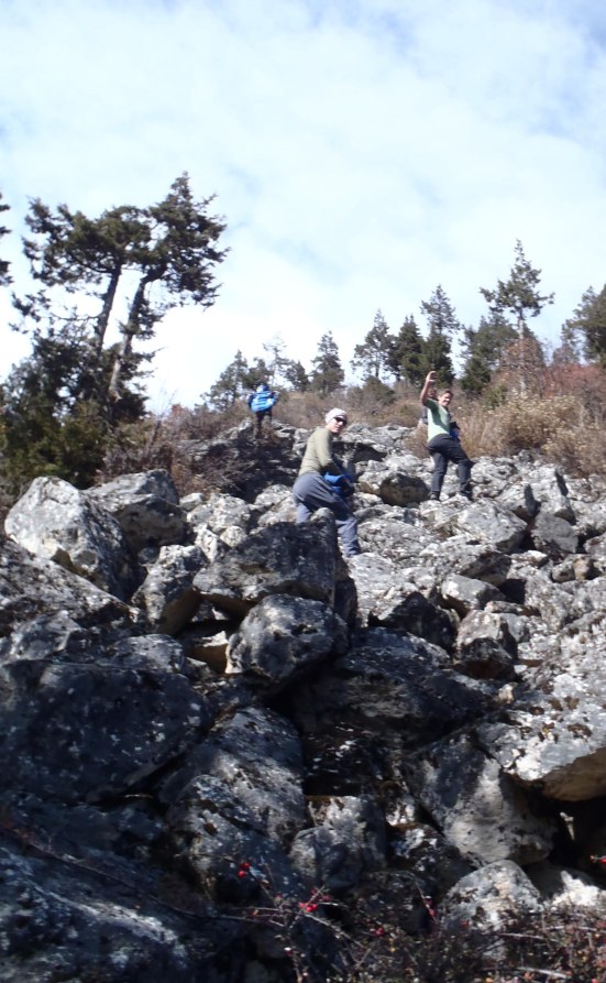 ???????????????????????????????